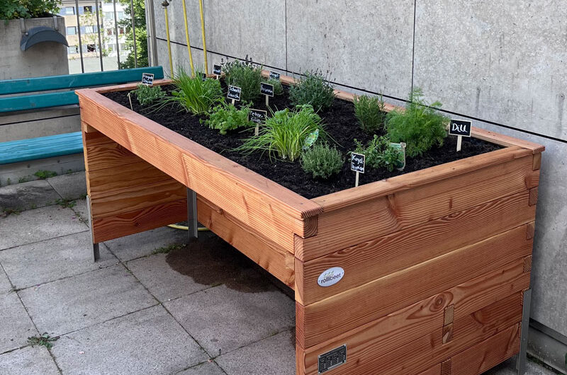 Abteilung für Geriatrie feiert Einweihung eines "Rooftop-Hochbeets"