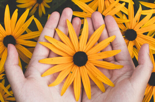 Patientinnentag des Brustzentrum-City am Sankt Gertrauden-Krankenhaus