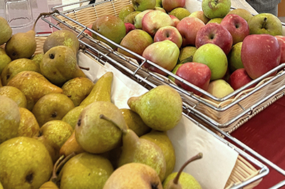 Tradition und Nachhaltigkeit im Schwestern-Garten des Sankt Gertrauden Krankenhauses